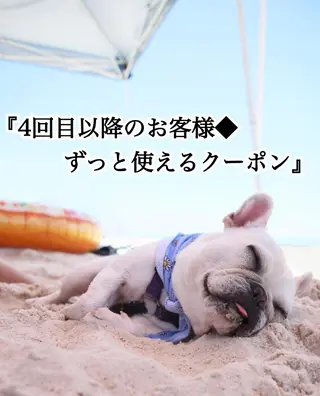 ショート カラー パーマ ヘアアレンジ ネイル マツエク・マツパ ◆感動口コミ/最小顔 理論カット◆森口 峻のヘアスタイル