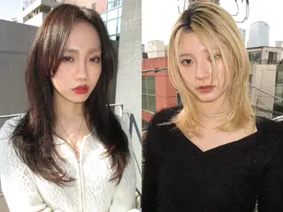 ミディアム レイヤーカット\ウル フ　chinatsuのヘアスタイル