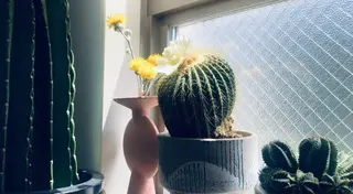 basico  のエステ・リラクイメージ