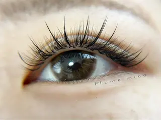 マツエク・マツパ Plume micoのマツエク・マツパデザイン