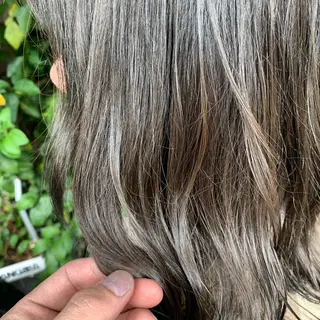 セミロング 四ッ井 翔のヘアスタイル