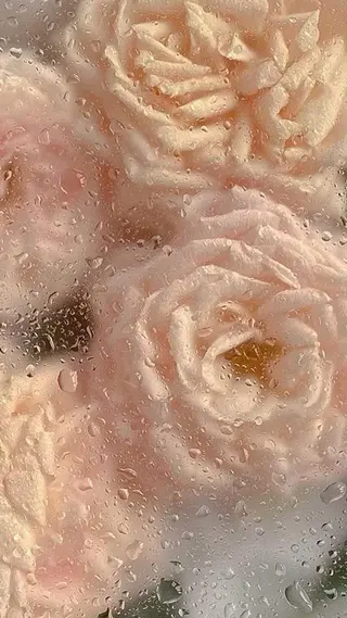 🦋 Natsumiのマツエク・マツパデザイン