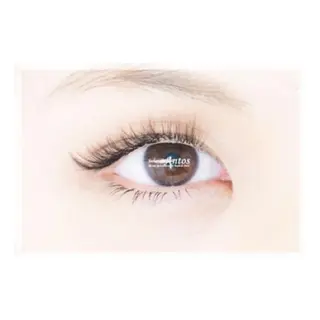 マツエク・マツパ まつげ&眉の専門店 アントススタッフの眉毛・アイブロウイメージ