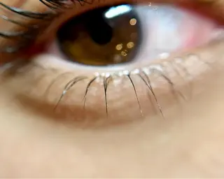 マツエク・マツパ komatsu eyelash恵比寿のマツエク・マツパデザイン