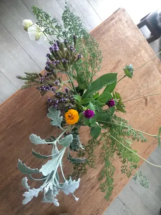 basico  のエステ・リラクイメージ