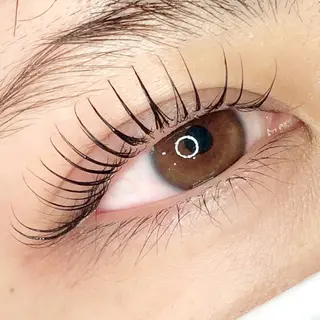 ãããšã¯ã»ããã jolie æ ð€ã®ãããšã¯ã»ããããã¶ã€ã³