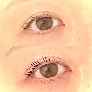 マツエク・マツパ 横田 瑠花🌻の眉毛・アイブロウイメージ