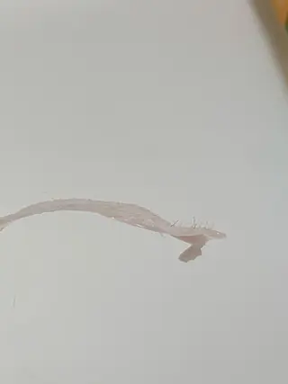 ビューティーサロンLEMO所属・ビューティーサロン Lemoのエステ・リラクイメージ