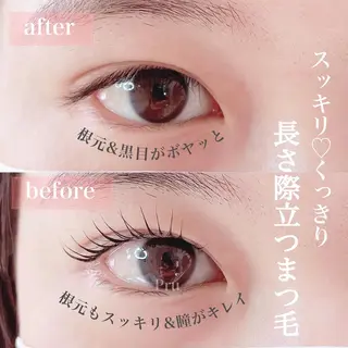 マツエク・マツパ プル eyelashのマツエク・マツパデザイン