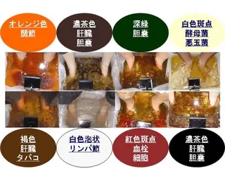 メディカルエステ マドンナのエステ・リラクイメージ