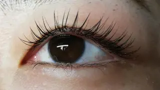 マツエク・マツパ angelux 所属・完全個室サロン🌹 angelux🌹のマツエク・マツパデザイン