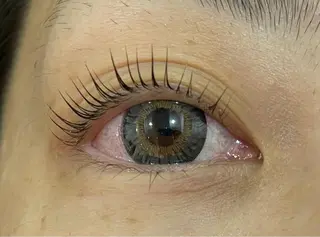 マツエク・マツパ マリーテレジア 🌻RUKAのマツエク・マツパデザイン