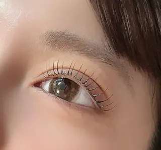 マツエク・マツパ u*Nerine所属・【まつ毛パーマ専門】 u*Nerine堤のマツエク・マツパデザイン