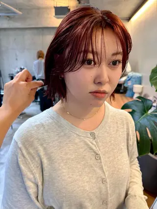 ショート レイヤーカット\ウル フ　chinatsuのヘアスタイル