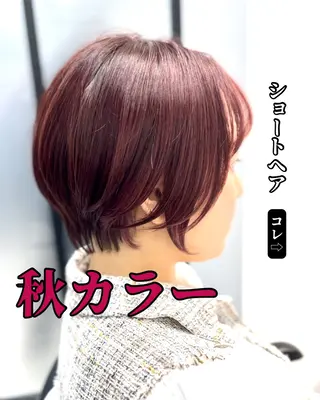 ショート カラー ショートヘア、ボブ こやさん　コヤマのヘアスタイル