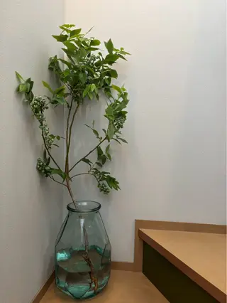 ネイル keigo Iのネイルデザイン