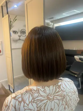 ショート パーマ ボブ/透明感カラー 岸本涼奈のヘアスタイル