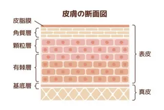 憧れ韓流素肌に🪽 毛穴肌管理のエステ・リラクイメージ