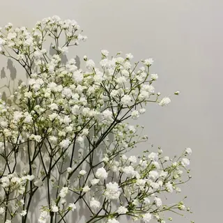 マツエク・マツパ リスブラン小伝馬町 AKARIのマツエク・マツパデザイン