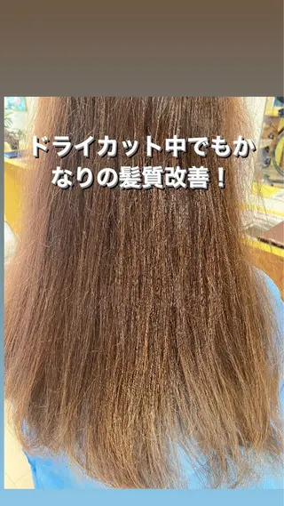 セミロング カラー 横田 尚登のヘアスタイル