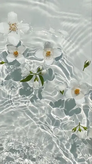 ショート カラー パーマ ヘアアレンジ メンズ キッズ ネイル マツエク・マツパ アイブロウ Chloe-クロエ- 脱毛/フェイシャルのエステ・リラクイメージ