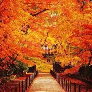 セミロング カラー パーマ ヘアアレンジ メンズ キッズ ネイル マツエク・マツパ アイブロウ 触れたくなる モテ肌へ...❤︎のエステ・リラクイメージ