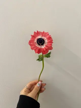 🌻花屋併設🌻濱 幸帆のヘアスタイル