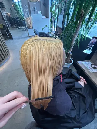 ミディアム カラー Haru/THREE …by velvetのヘアスタイル