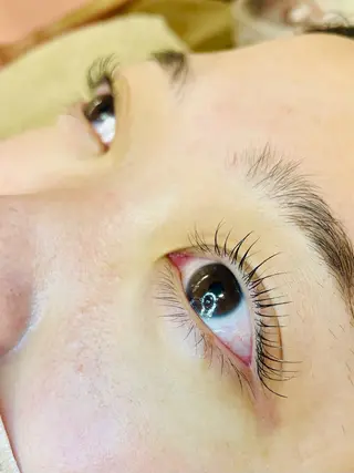 マツエク・マツパ 🌼AI 🌼の眉毛・アイブロウイメージ