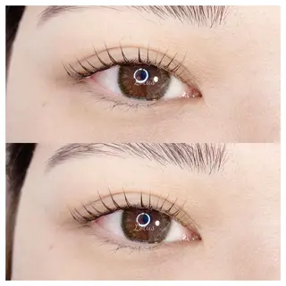 マツエク・マツパ Lotus所属・Lotus ロータスのマツエク・マツパデザイン