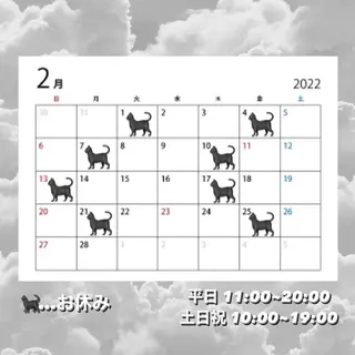 マツエク・マツパ ロレインブロウ横浜店所属・🤍アイリスト kana🤍のマツエク・マツパデザイン