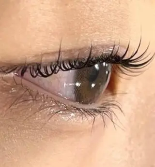 マツエク・マツパ 【マリーテレジア】 TAKITAのマツエク・マツパデザイン