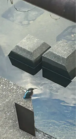 小倉 麻由のエステ・リラクイメージ