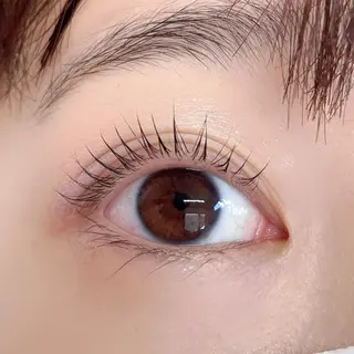 ใใใจใฏใปใใใ ๐๐๐๐๐ ๐ฆ๐ใฎใใใจใฏใปใใใใใถใคใณ