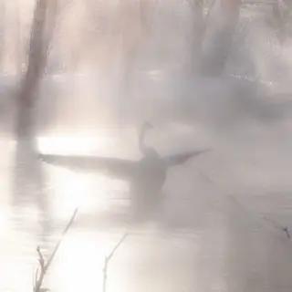 ネイル Bianca♡ TAKANASHIのネイルデザイン