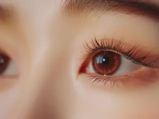 マツエク・マツパ ラッシュテイラー所属・lash tailorのマツエク・マツパデザイン