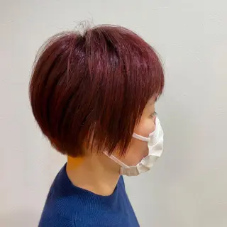 ショート カラー 山田 里美のヘアスタイル