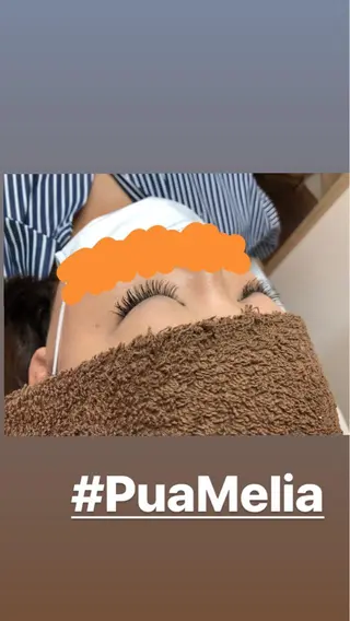 マツエク・マツパ Pua Meliaのマツエク・マツパデザイン