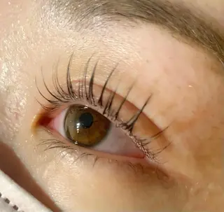 マツエク・マツパ Celeste Venus所属・🧸Celeste Venusのマツエク・マツパデザイン