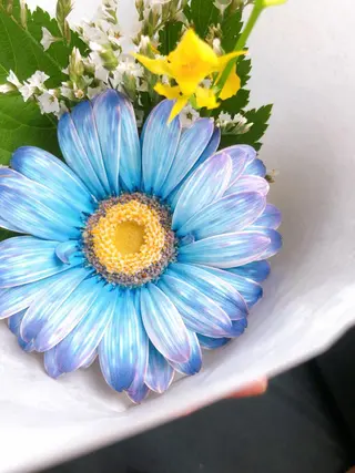 高岡⌇ Ayaka🌻のエステ・リラクイメージ