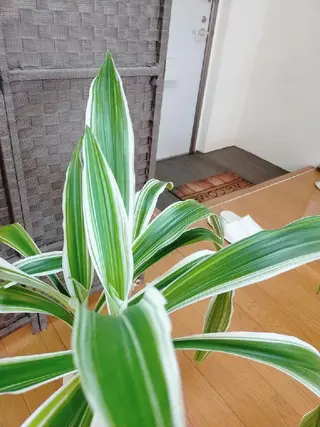 アイブロウ 眉毛サロン eyeroomEの眉毛・アイブロウイメージ