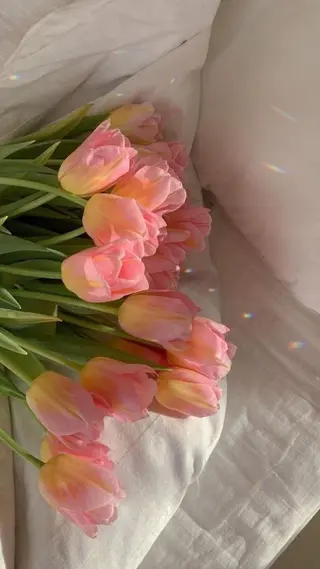 𝙔𝙪𝙪𝙠𝙖 .のマツエク・マツパデザイン