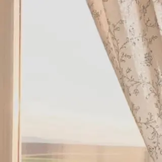 Eye Salon "Koa"【コア】所属・Eye Salon /まつ毛/眉毛のマツエク・マツパデザイン