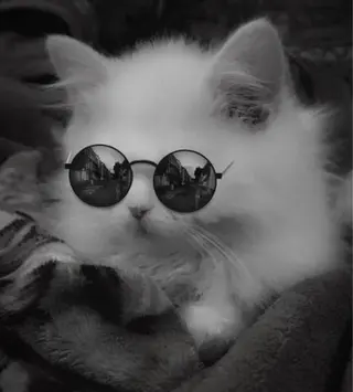 ᴍɪɴᴀ．‪‪ 🐈‍⬛のマツエク・マツパデザイン