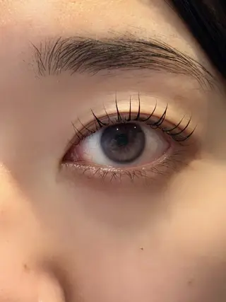 マツエク・マツパ fors/eye🤍 /らぎのマツエク・マツパデザイン