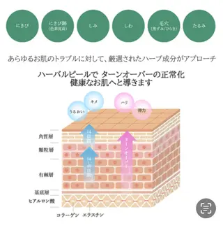 Eye Herb🌿 エステのエステ・リラクイメージ
