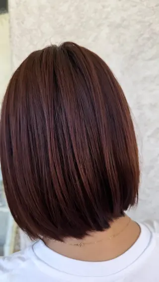 ショート カラー 椎葉 祐也のヘアスタイル