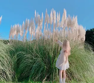 ロング カラー 🍓ハイトーンカラー 🎀nene🍓のヘアスタイル