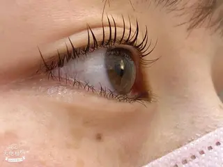 マツエク・マツパ BEL EYE BEAUTYアイのマツエク・マツパデザイン