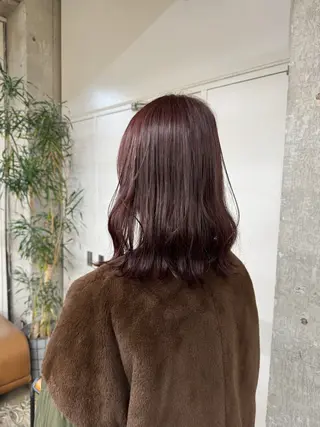 セミロング 宮崎 わか菜のヘアスタイル